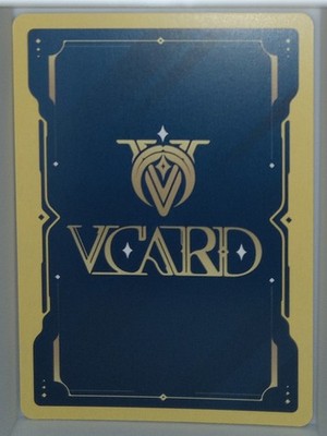 VCard Divine Chaos - 1st Edition - Rare Power 9 Holo Rainhoe